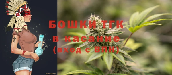 шишки Армянск