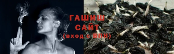 шишки Армянск