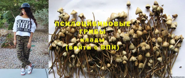 ешки Арсеньев