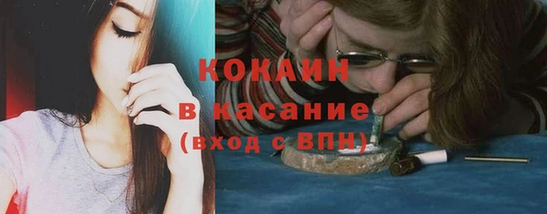 шишки Армянск