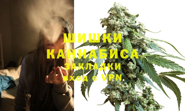 молекула духа Аркадак