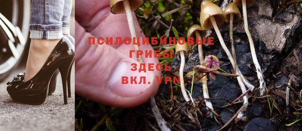 молекула духа Аркадак
