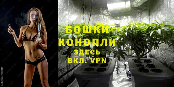 молекула духа Аркадак