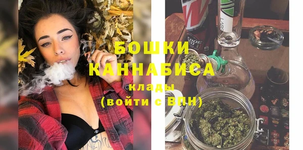 молекула духа Аркадак