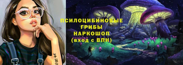 шишки Армянск