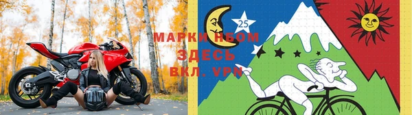 шишки Армянск